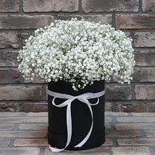 Цветочная композиция из Гипсофила в шляпной коробке #REPLACE_PRED# Николо-Кропотки